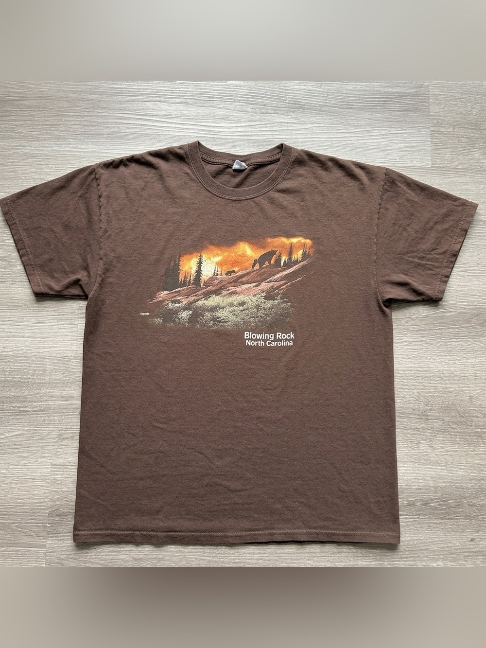 Vintage Y2K Blowing Rock North Carolina Brown Graphic Tee